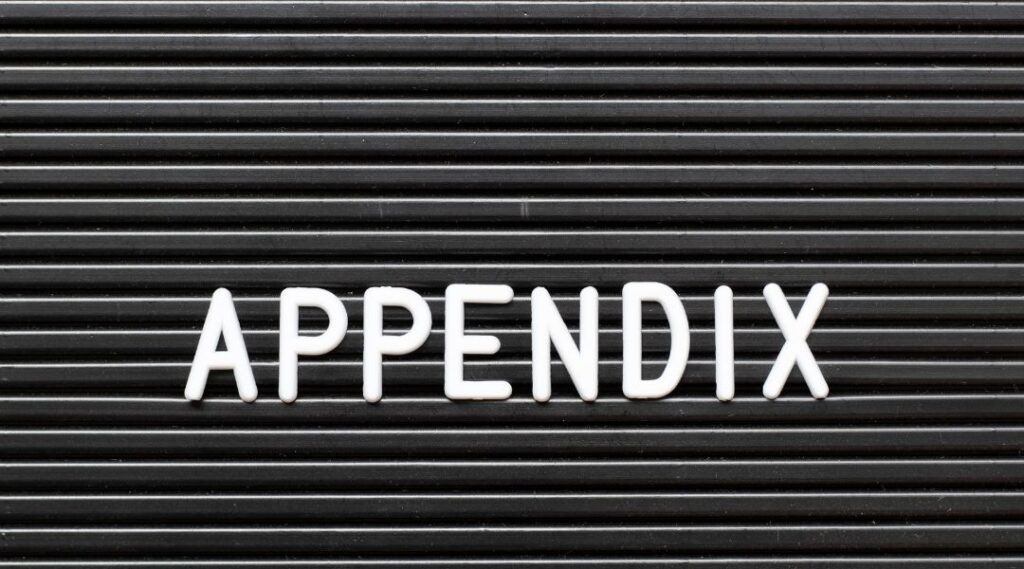 appendix(アペンディクス)とは?論文やプレゼンでの役立ち方