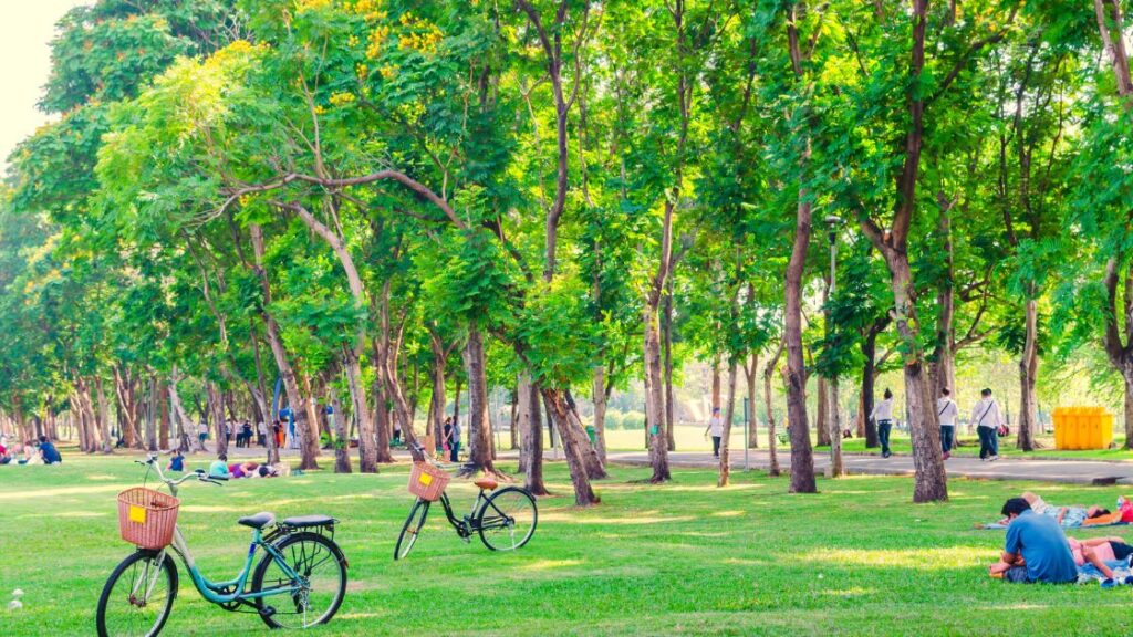 外に出かけたい派へ：お金を使わない休日の過ごし方（外出・自然・公園・散歩）