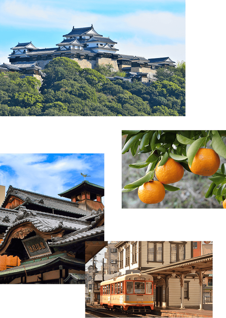 松山城・みかん・道後温泉・松山市電の画像